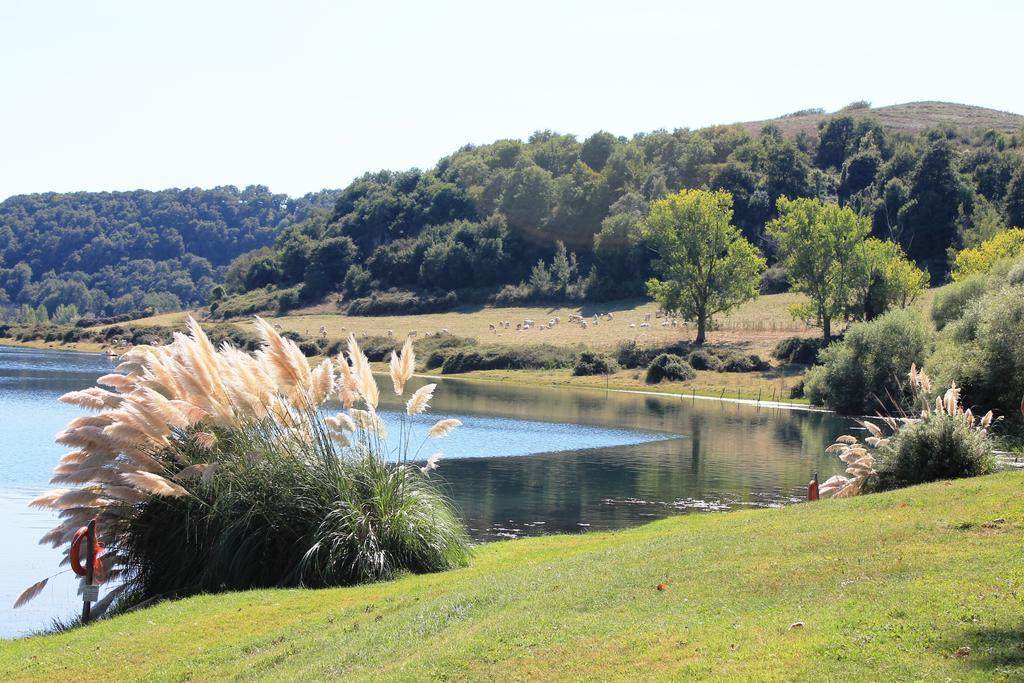 Il Castoro Di Martignano Bauernhof Anguillara Sabazia
