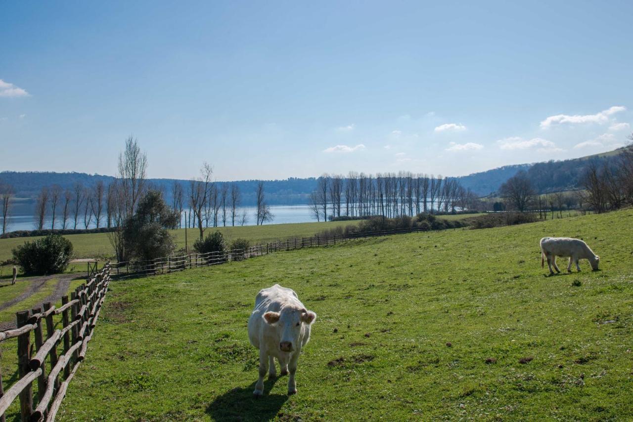 Il Castoro Di Martignano Bauernhof Anguillara Sabazia